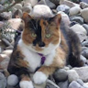 Meet your Posher, Tanya